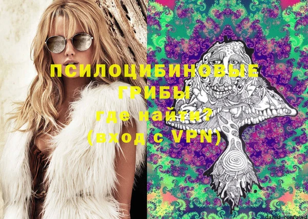 крисы Сатка
