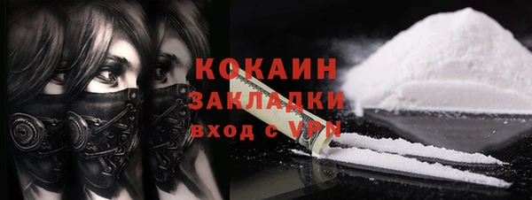 ГАЛЛЮЦИНОГЕННЫЕ ГРИБЫ Арсеньев