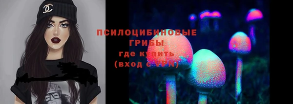 Альфа ПВП Аркадак