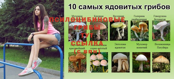ГАЛЛЮЦИНОГЕННЫЕ ГРИБЫ Арсеньев