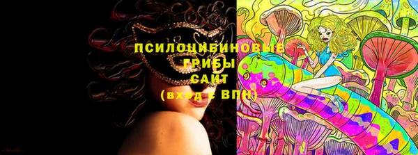 Альфа ПВП Абаза