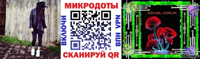 купить наркоту  Электрогорск  Галлюциногенные грибы Psilocybe 